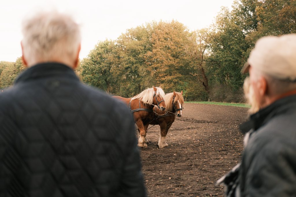 People at an autumn fair photographed with Cinematic Gold