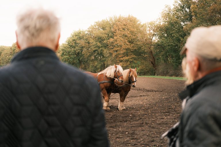 People at an autumn fair photographed with Cinematic Gold