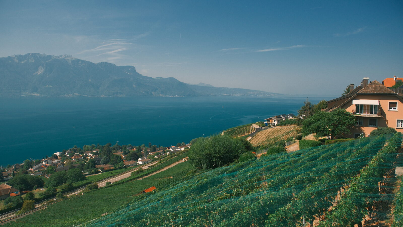 Lavaux vineyards overlooking Lake Geneva, Switzerland