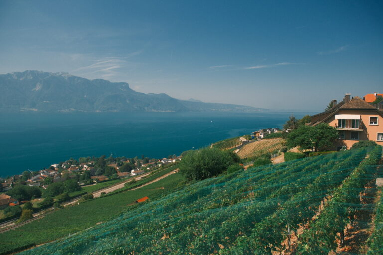 Lavaux vineyards overlooking Lake Geneva, Switzerland